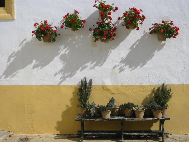 jerez-roses-.jpg